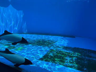 仙台うみの杜水族館に投稿された画像（2023/5/5）