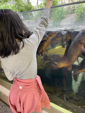 仙台うみの杜水族館に投稿された画像（2023/5/5）