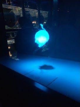 京都水族館に投稿された画像（2023/5/5）