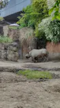 天王寺動物園に投稿された画像（2023/5/5）