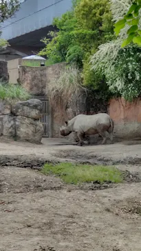天王寺動物園に投稿された画像（2023/5/5）
