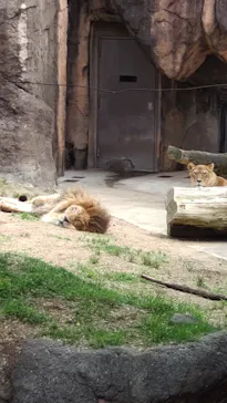 天王寺動物園に投稿された画像（2023/5/5）