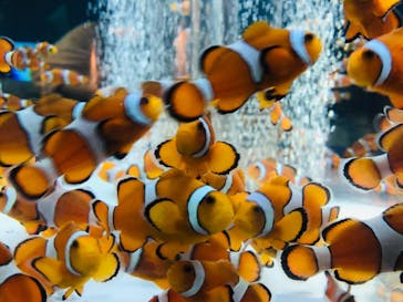 鴨川シーワールドに投稿された画像（2023/5/5）