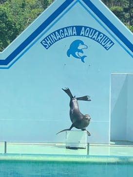 しながわ水族館に投稿された画像（2023/5/5）