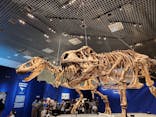 特別展「恐竜博2023」に投稿された画像（2023/5/5）
