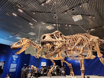 特別展「恐竜博2023」に投稿された画像（2023/5/5）