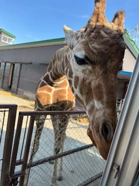 東北サファリパークに投稿された画像（2023/5/5）
