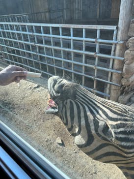 東北サファリパークに投稿された画像（2023/5/5）