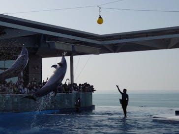 上越市立水族博物館 うみがたりに投稿された画像（2023/5/5）