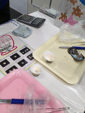 九十九島水族館海きららに投稿された画像（2023/5/5）