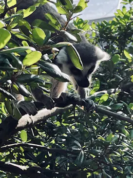 神戸どうぶつ王国に投稿された画像（2023/5/5）