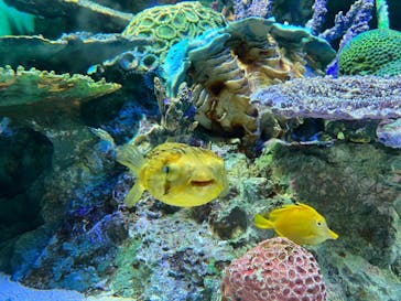 サンシャイン水族館に投稿された画像（2023/5/5）