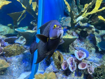 サンシャイン水族館に投稿された画像（2023/5/5）