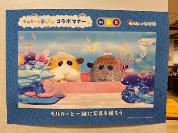 極楽湯 多摩センター店に投稿された画像（2023/5/5）