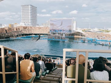 名古屋港水族館に投稿された画像（2023/5/5）