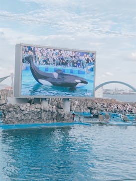 名古屋港水族館に投稿された画像（2023/5/5）