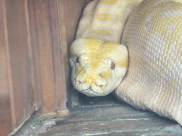 東武動物公園に投稿された画像（2023/5/5）