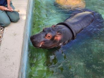 東武動物公園に投稿された画像（2023/5/5）