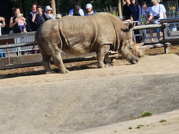 東武動物公園に投稿された画像（2023/5/5）