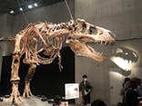 特別展「恐竜博2023」に投稿された画像（2023/5/5）