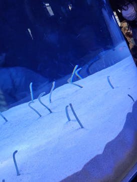 マリンワールド海の中道に投稿された画像（2023/5/5）