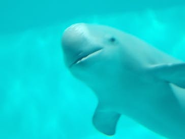 マリンワールド海の中道に投稿された画像（2023/5/5）