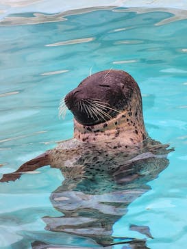 マリンワールド海の中道に投稿された画像（2023/5/5）