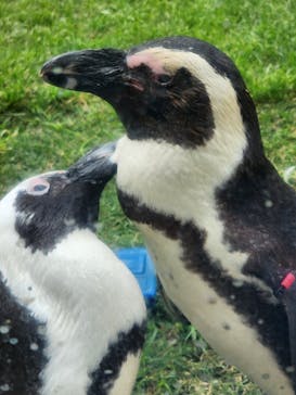 マリンワールド海の中道に投稿された画像（2023/5/5）