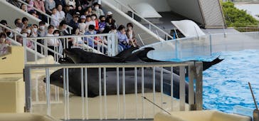 マリンワールド海の中道に投稿された画像（2023/5/5）