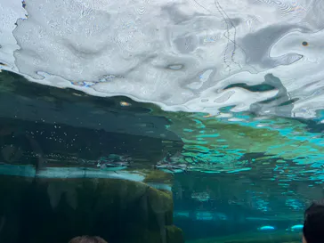 天王寺動物園に投稿された画像（2023/5/5）