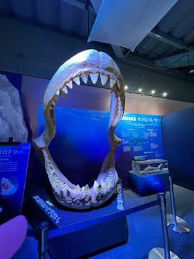 新江ノ島水族館に投稿された画像（2023/5/5）