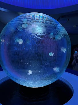 新江ノ島水族館に投稿された画像（2023/5/5）