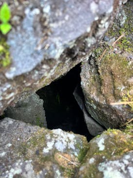 鬼押出し園に投稿された画像（2023/5/5）