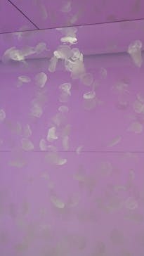 アクアワールド茨城県大洗水族館に投稿された画像（2023/5/5）