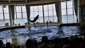アクアワールド茨城県大洗水族館に投稿された画像（2023/5/5）