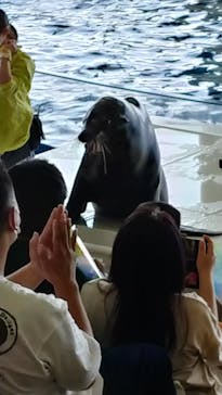 アクアワールド茨城県大洗水族館に投稿された画像（2023/5/5）