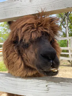 神戸どうぶつ王国に投稿された画像（2023/5/5）