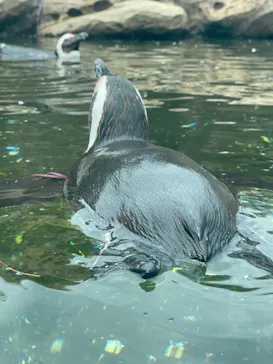 神戸どうぶつ王国に投稿された画像（2023/5/5）