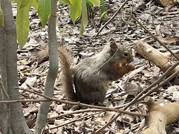 神戸どうぶつ王国に投稿された画像（2023/5/5）