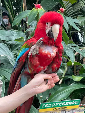 神戸どうぶつ王国に投稿された画像（2023/5/5）