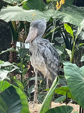 神戸どうぶつ王国に投稿された画像（2023/5/5）