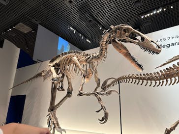 特別展「恐竜博2023」に投稿された画像（2023/5/5）