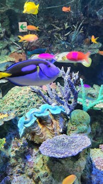 サンシャイン水族館に投稿された画像（2023/5/5）