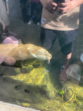 環境水族館アクアマリンふくしまに投稿された画像（2023/5/5）