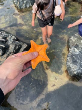 環境水族館アクアマリンふくしまに投稿された画像（2023/5/5）