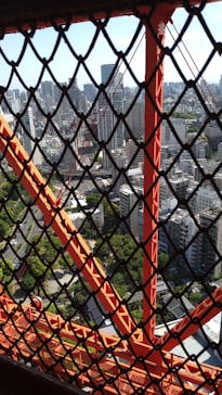 東京タワーに投稿された画像（2023/5/5）