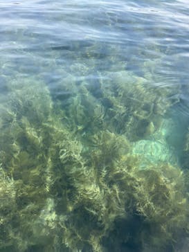 志摩で遊び隊に投稿された画像（2023/5/5）