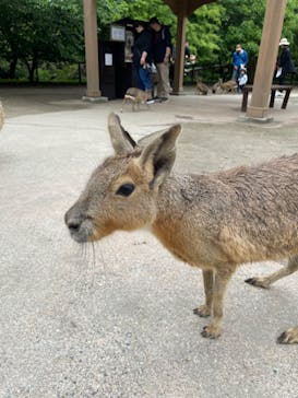 長崎バイオパークに投稿された画像（2023/5/5）