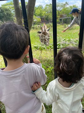 到津の森公園に投稿された画像（2023/5/5）