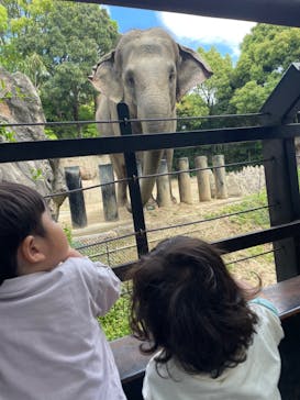 到津の森公園に投稿された画像（2023/5/5）